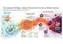 create custom science worksheets,quizzes, infographics